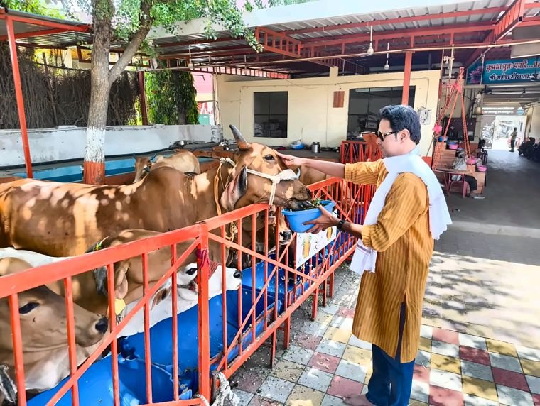 गौ सेवा एवं गौशाला भ्रमण