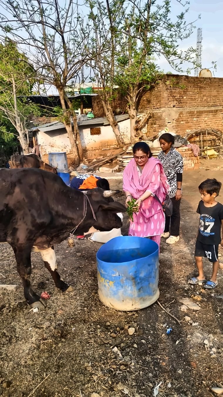 गौ सेवा एवं गौशाला भ्रमण